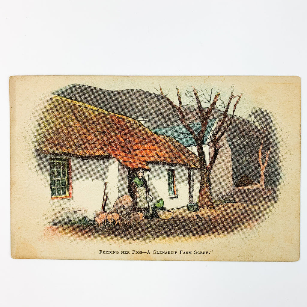 Vintage Irish Glenariff Farm Scene Feeding Her Pigs Postcard