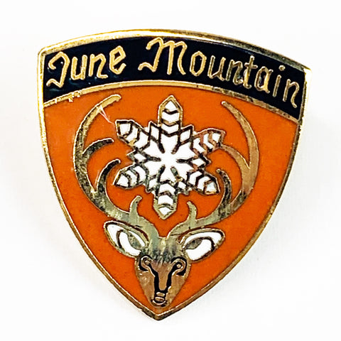 Vintage June Mountain Skiing Mammoth Souvenir Lapel Pin