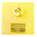 Disney Cast Member Pin Pooh Tigger Eeyore Piglet Halloween LE 3000 Pin