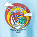 Vintage The Beach Boys 1982 North American Tour Shirt