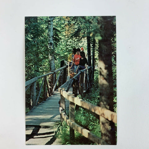 Alaska Zoo Anchorage Park Grounds Bridge Postcard