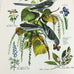 Vintage Arthur Singer Bird Prints Number 4 of a Series