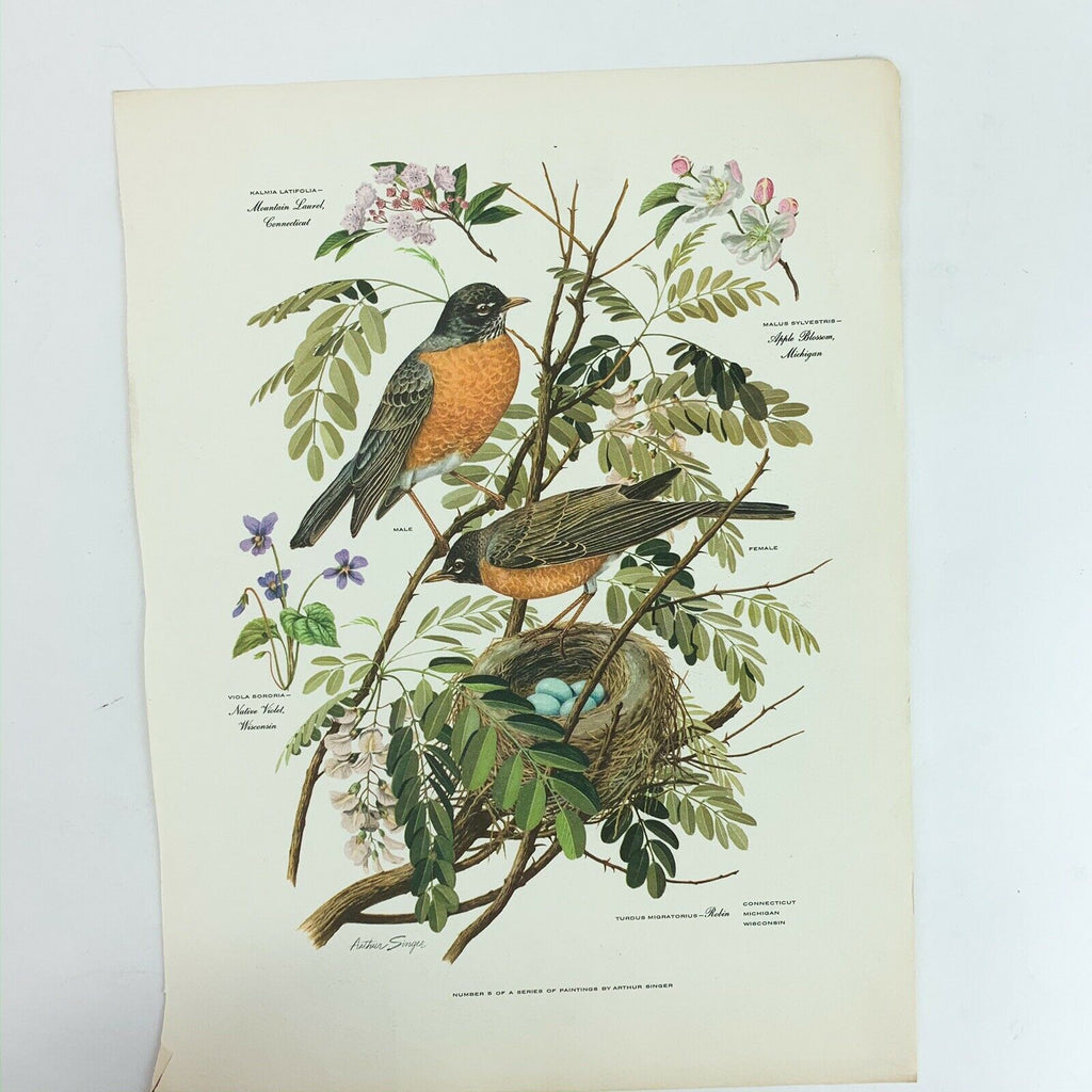 Vintage Arthur Singer Bird Prints Number 5 of a Series