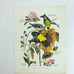 Vintage Arthur Singer Bird Prints Number 6 of a Series